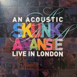 Skunk Anansie - An Acoustic Skunk Anansie (2LP Green/Blue)