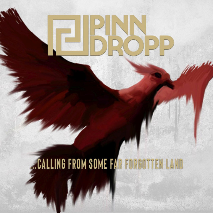 Pinn Dropp - ...Calling From Some Far Forgotten Land (CD)