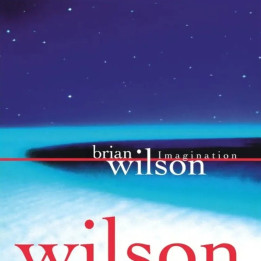 Wilson Brian - Imagination (RSD 2026) (LP)
