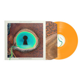 Dirty Sound Magnet - Dreaming In Dystopia (LP Orange)
