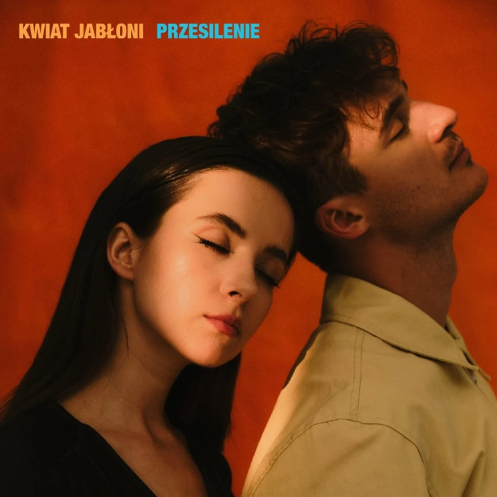 Kwiat Jabłoni - Przesilenie (LP)