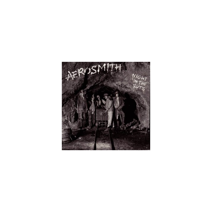 Aerosmith - Night In The Ruts (CD)