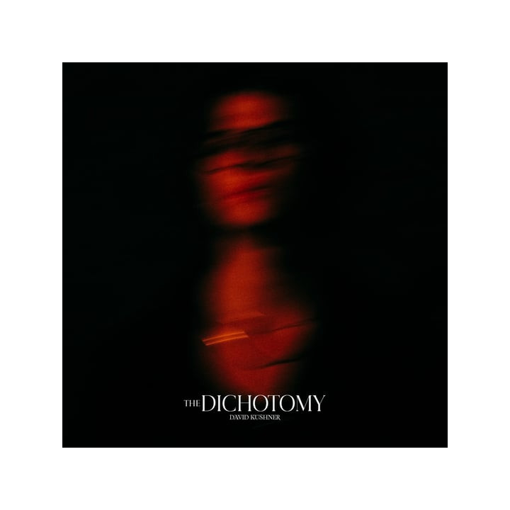 Kushner David - The Dichotomy (2LP)