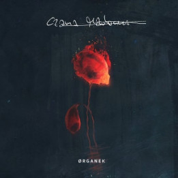 Organek - Czarna Madonna (Transparent/Orange Vinyl) (LP)