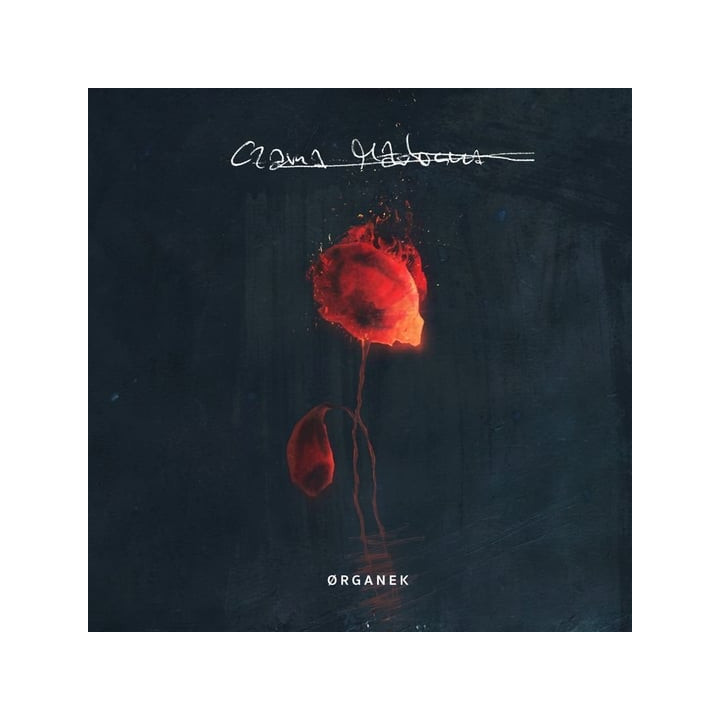 Organek - Czarna Madonna (Transparent/Orange Vinyl) (LP)
