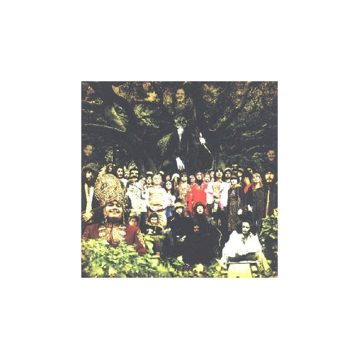 Banhart Devendra - Cripple Crow (2LP)