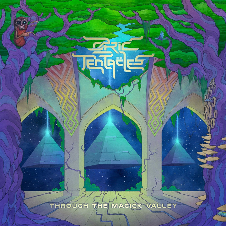 Ozric Tentacles - Through The Magick Valley (9CD+DVD)