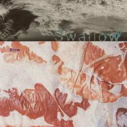 Swallow - Blown (2CD)