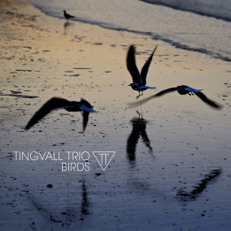 Tingvall Trio - Birds (CD)