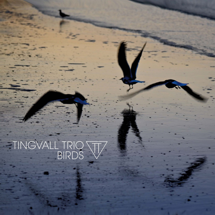 Tingvall Trio - Birds (CD)