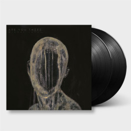 Michał Łapaj - Are You There (2LP)