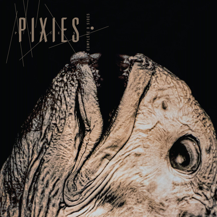 Pixies - Complete B Sides: 1988-1997 (Remaster) (2LP)