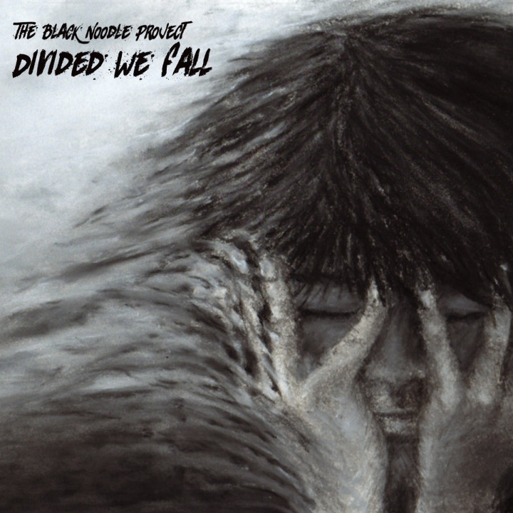 The Black Noodle Project - Divided We Fall (LP)